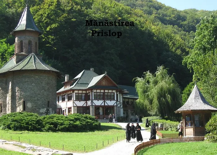 Pensiunea Avy
