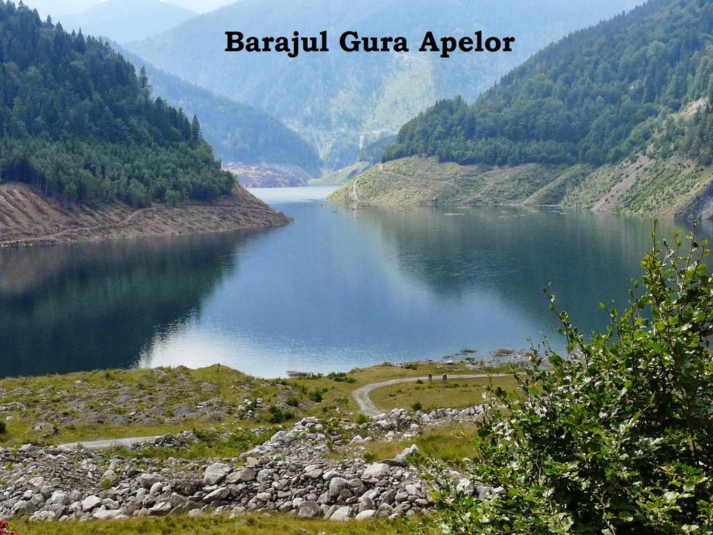 Pensiunea Avy Gasthof 3*